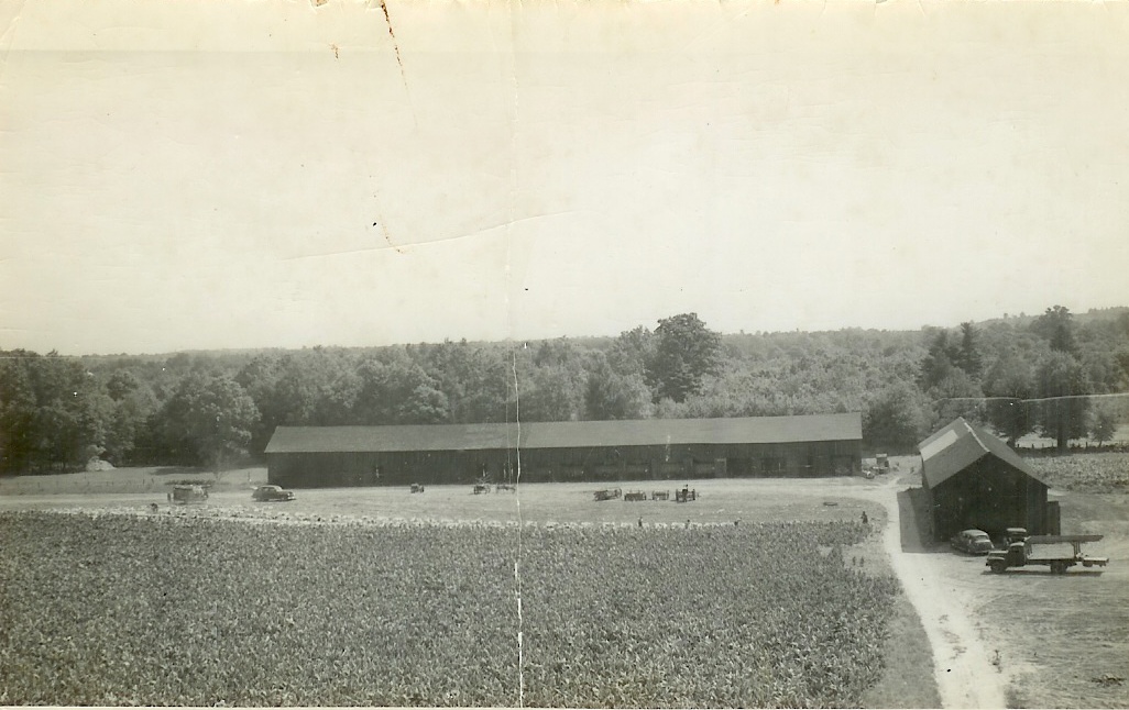 About Cupola Hollow Cupola Hollow Farm